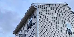 Best Custom Siding Design  in Holiday, FL